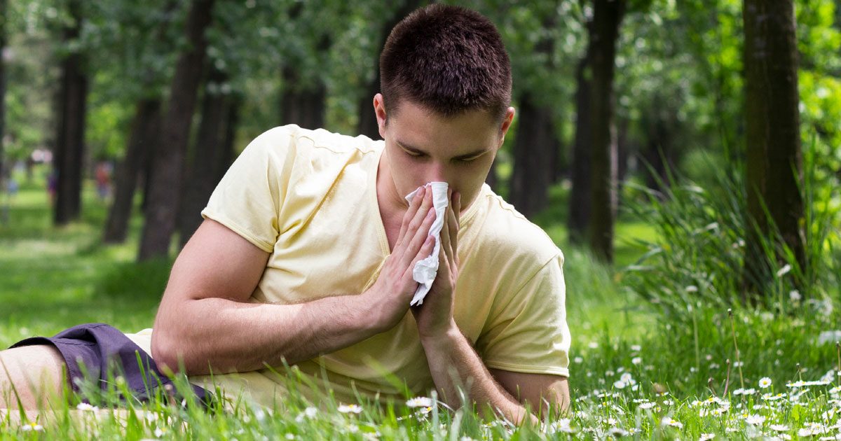 ¿Cuáles son las causas más comunes de una reacción alérgica al césped?